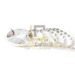 LED STRIP 5050/60 IP20 12V 5M