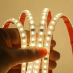 RUBAN 2835/120 LUMIOLIGHT 10CM/CUT 220V 5 CON - Image 3